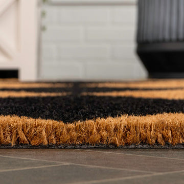 Paige Modern Classic Diamond-patterned Coir Area Rug